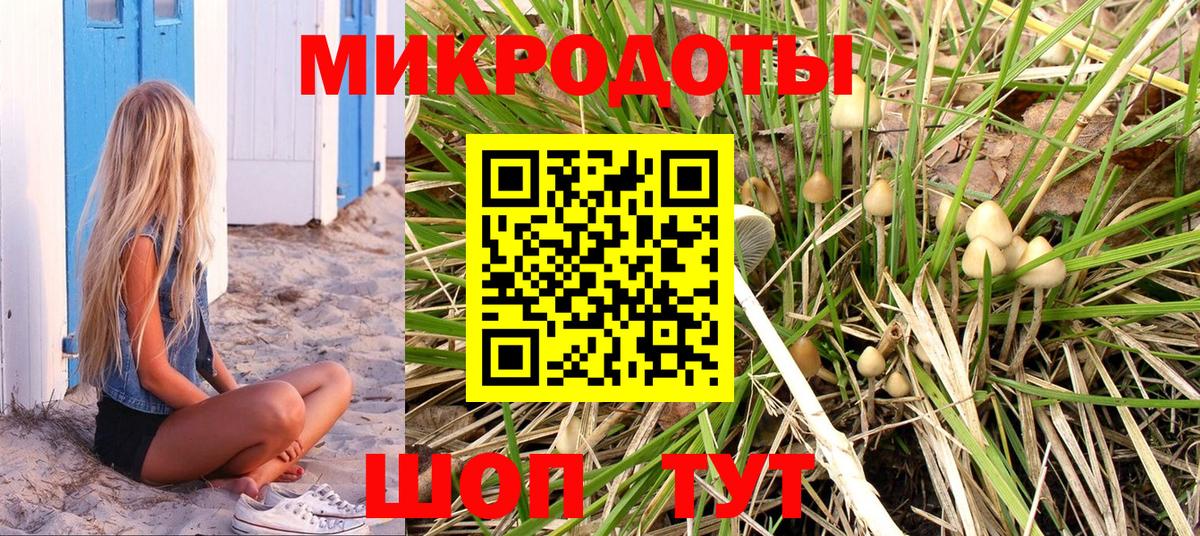 Псилоцибиновые грибы Psilocybe Артёмовский