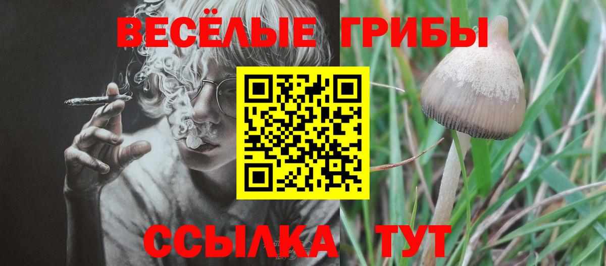 Артёмовский  Галлюциногенные грибы Psilocybine cubensis  Галлюциногенные грибы Cubensis  купить наркотики сайты  Вход с VPN 